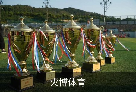 关于火博体育