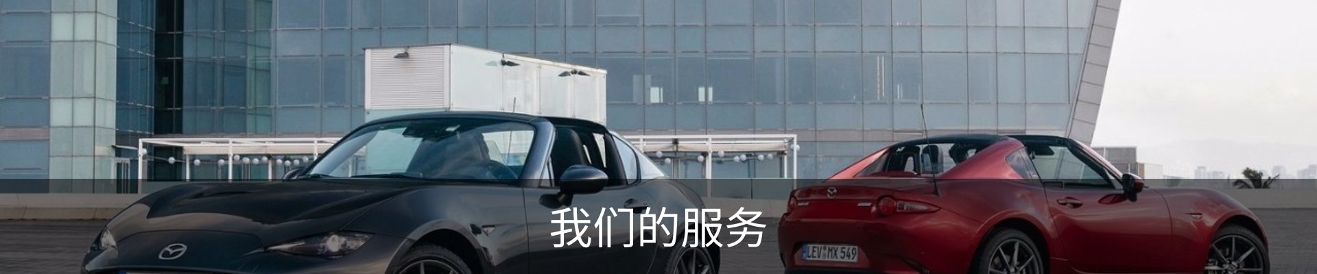 我们的服务